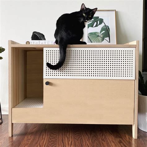 best cat litter box enclosure.